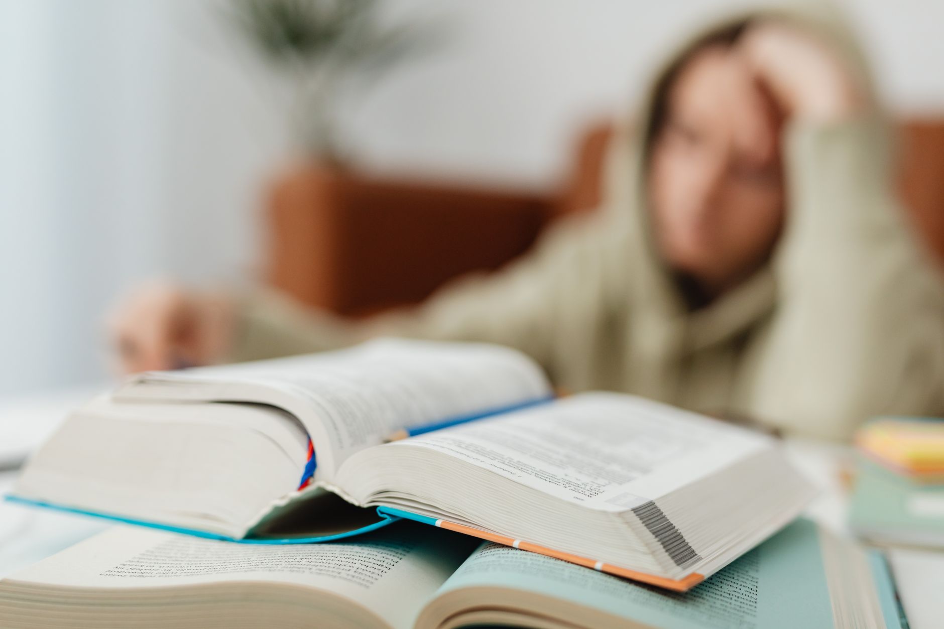 2026 Civic Exam in France: Success Rates, Preparation, and Tips for Passing